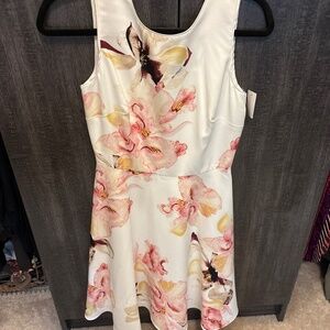 Beautiful WHBM Dress